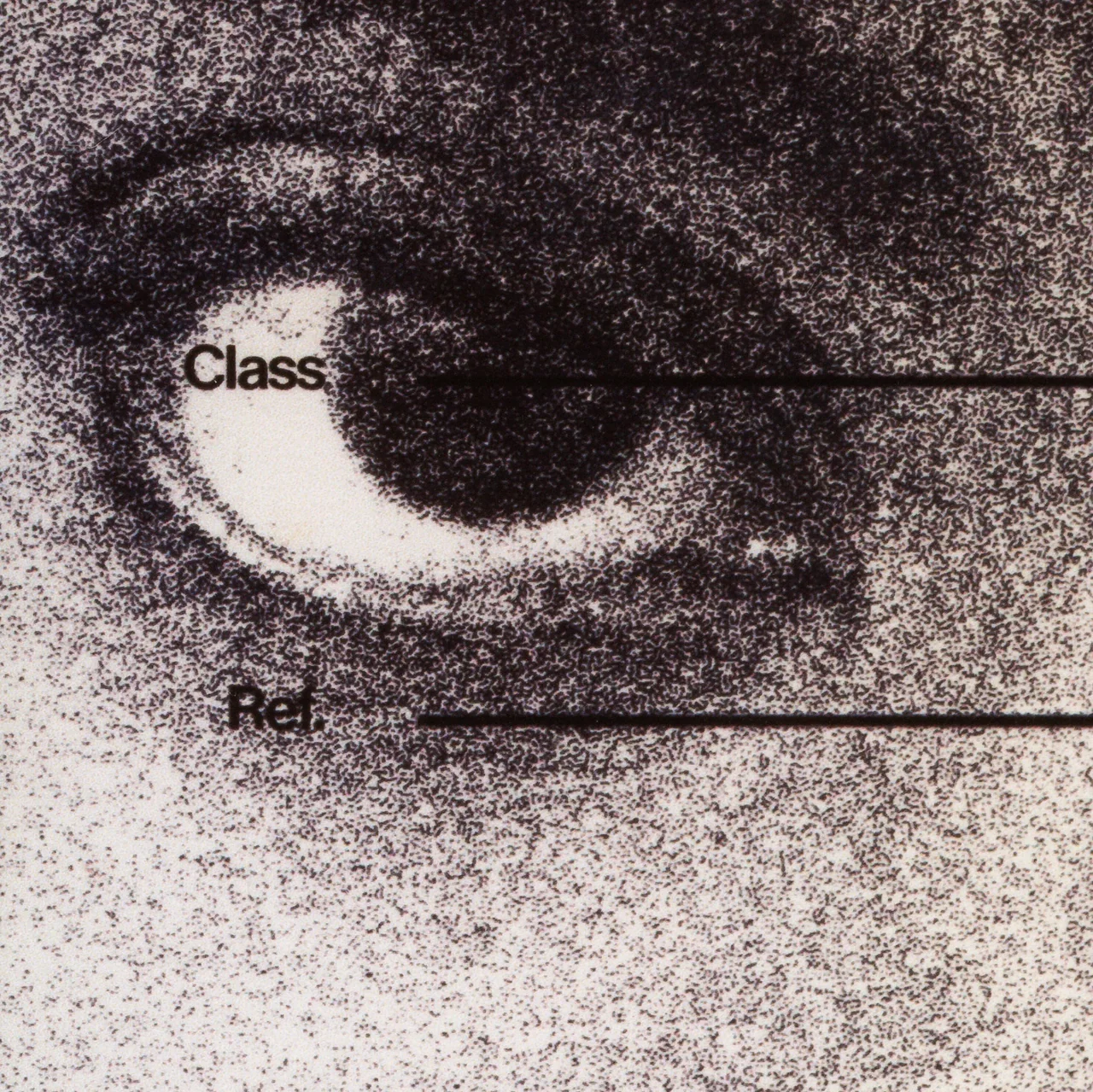 Canon, 2026, by in vivo. Detail: a grainy halftone eye crossed by the form fields Class and Ref.