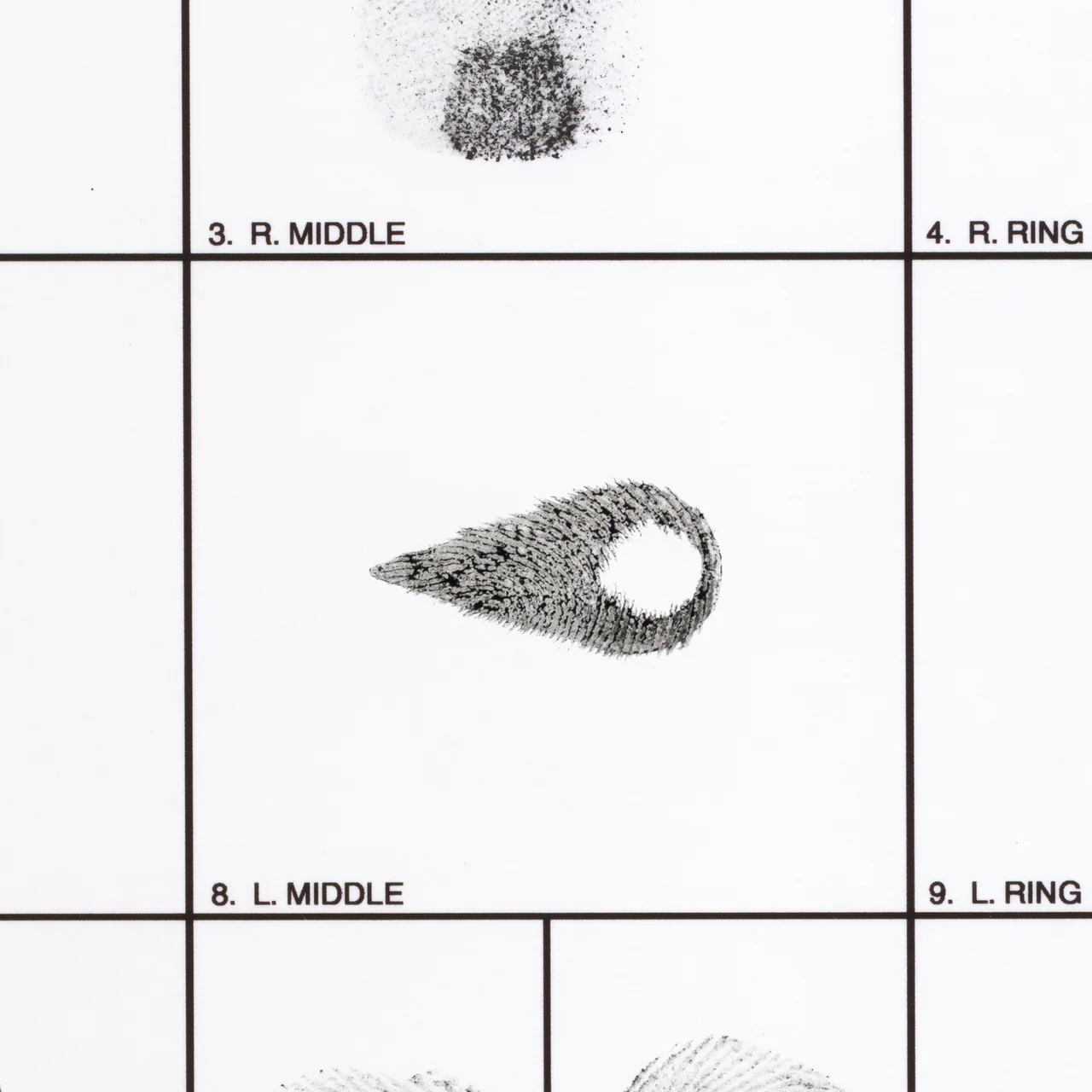 Canon, 2026, by in vivo. Detail: the in vivo eye mark printed in fingerprint ridges in the left middle finger box.