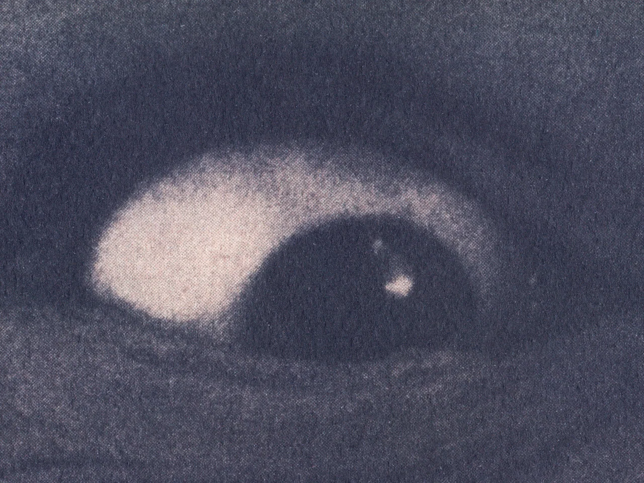 Ephemera, 2025, by in vivo. Detail: one eye, wide open.