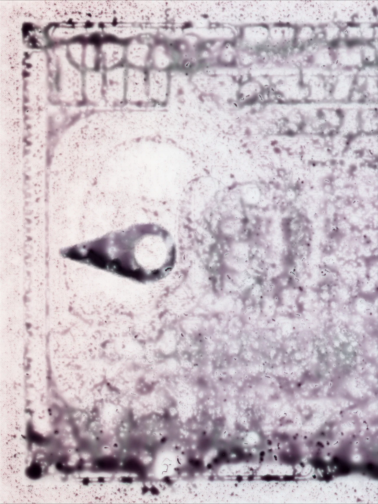 Perversion, 2025, by in vivo. Detail: the in vivo eye mark on the degraded bill.