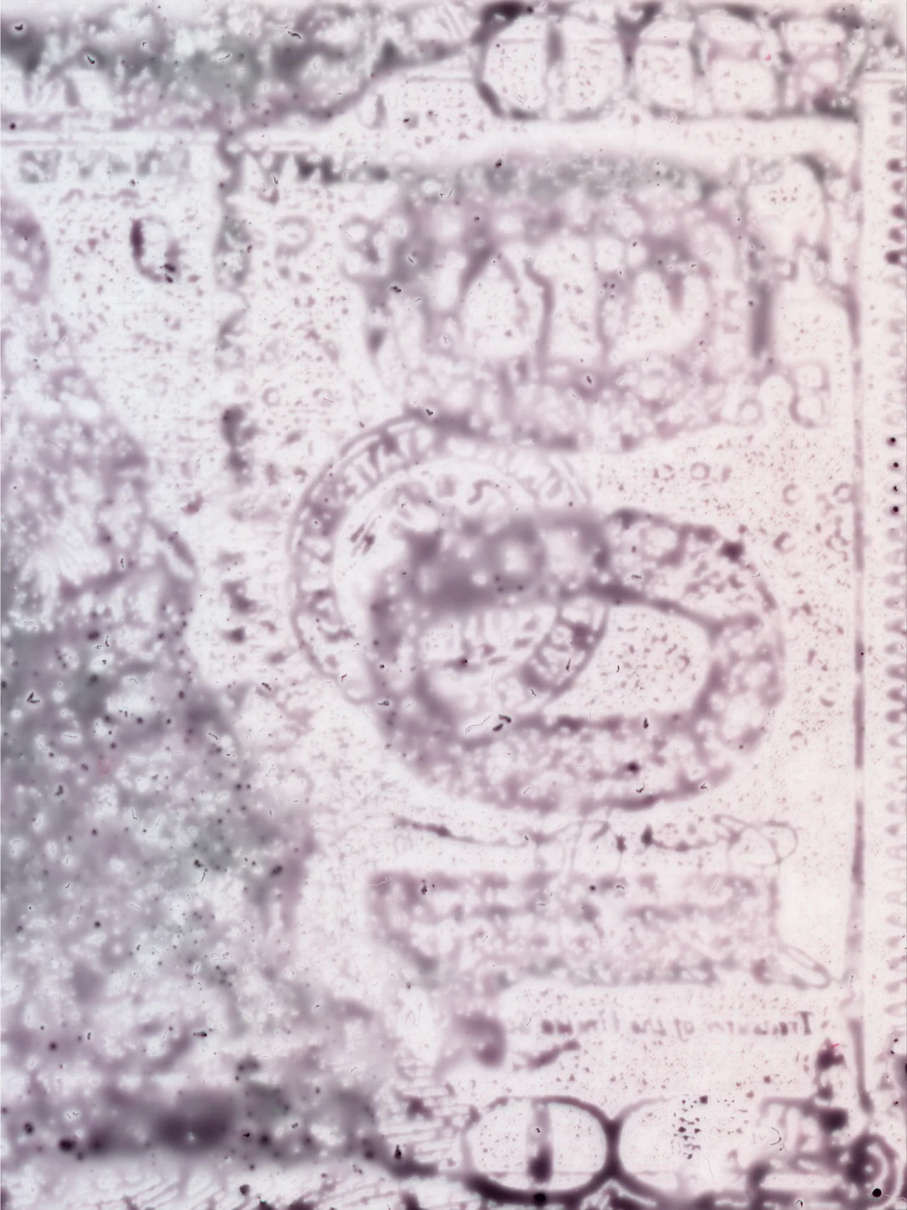 Perversion, 2025, by in vivo. Detail: the seal and numeral of the bill dissolving under oil.